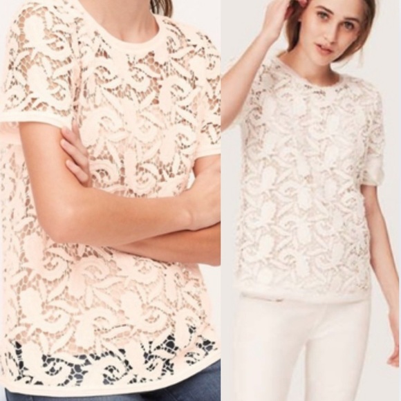 LOFT Crochet Lace Paisley Cutout Sheer Overlay Blouse Top Ballet Pink Small - Picture 1 of 10